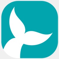 Beluga Consulting Co. Ltd.