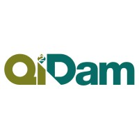 Qi²Dam logo - Similar company to Solve Engenharia E Tecnologia Ltda