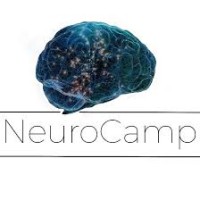 NeuroCamp logo - Similar company to The Network Tvory!