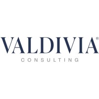 Valdivia Consulting GmbH logo - Similar company to Revnatics L.L.C.