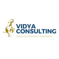 Vidya Consulting logo - Similar company to Altogether Hr