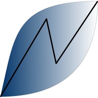 North Star Investments ltd. logo - Similar company to Verji Tech As