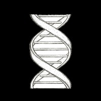 Judaism for Humans logo - Similar company to Immigration Evaluation Institute