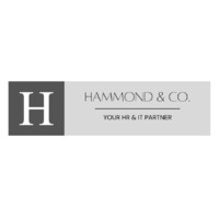 Hammond & Co. - Your HR & IT Partners logo - Similar company to Aces4 It Works Company
