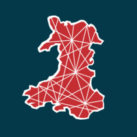 BSV Wales logo - Similar company to Online Hate Task Force