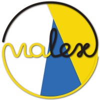 Vialex Motion Lab Animation logo - Similar company to Blagoda
