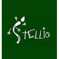 Stellio logo - Similar company to Stellio