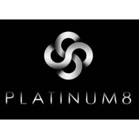 Platinum8 Holdings logo - Similar company to Lfigroup