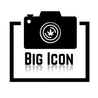 Big Icon Studio logo - Similar company to The Pure Studio
