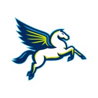 Dallas Wings logo - Similar company to Cleankonnect