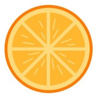 Red Orange Labs | ريد أورنج لابز logo - Similar company to Newtouch نيوتاتش لحلول الأعمال