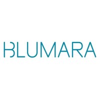 Blumara logo - Similar company to Byd - Naval Architects