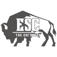 The ESC Group logo - Similar company to Bar 119