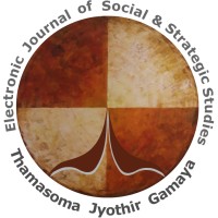 Electronic Journal of Social and Strategic Studies logo - Similar company to Electronic Brainn