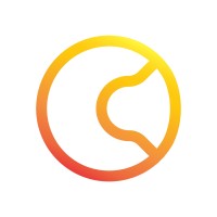 Clever Digital logo - Similar company to Rigo Inc(Formerly Nucleusis Africa)