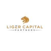 LIGER CAPITAL PARTNERS logo - Similar company to The Liger Charitable Foundation
