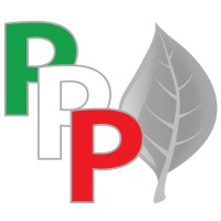 Istituto per la Protezione, Promozione e Preservazione dell'origine del Food&Beverage Made in Italy logo - Similar company to Webridge Consulting