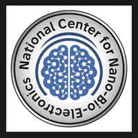 National Center for Nanobio_Electronics (NCNBE) logo - Similar company to World Brain Mapping Foundation