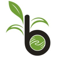 Bhumati Consultancy Services Pvt Ltd logo - Similar company to Techleela Solutions Pvt. Ltd.