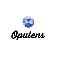 Opulens logo - Similar company to Opulens