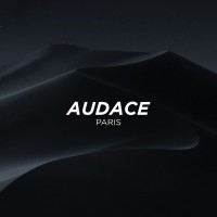 Audace Agency logo - Similar company to L'Agence Audace