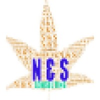 N & S Consulting