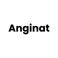 Anginat logo - Similar company to South Asian Centre For Ophthalmic Medical Technologies