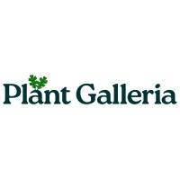 Plant Galleria logo - Similar company to Creative Curves