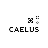Caelus logo - Similar company to Mucci Assessment & Development