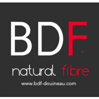 BDF logo - Similar company to Bdf Experts