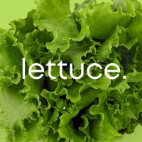 Lettuce Create logo - Similar company to Ak Impex