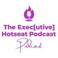 The Exec Hotseat Podcast logo - Similar company to Merit Iron Ltd