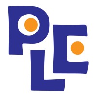 PULEIYI GAMES logo - Similar company to Artdico Portfolio Center