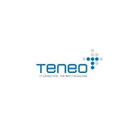 Teneo d.o.o. logo - Similar company to Fixit D.O.O.