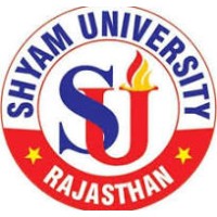 SHYAM UNIVERSITY logo - Similar company to Individual Practice