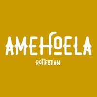 Amehoela logo - Similar company to Aedon Security En Support