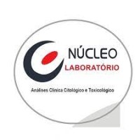 Núcleo Laboratório logo - Similar company to Nlmt - Núcleo De Estudos Do Laboratório De Mobilidade Terrestre