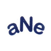 A N Enterprise logo - Similar company to 360 Degree Export