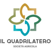 Il Quadrilatero SS Società Agricola logo - Similar company to Industria E Startup