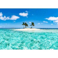 Roatan Paradise Homes logo - Similar company to Dialdynamo
