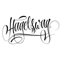 Hagelswag logo - Similar company to Creditchecken B.V.