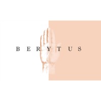 BERYTUS Insurance & Reinsurance Co. SAL logo - Similar company to Otrya Consulting