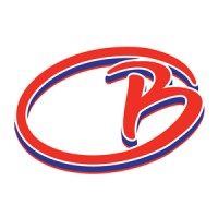 Bruiser Sports logo - Similar company to Braves Academy