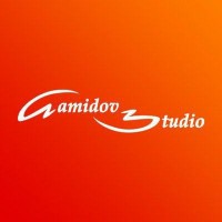 Gamidov Studio logo - Similar company to Pits