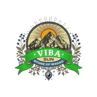 Viba sun stone logo - Similar company to Bigwig Digital