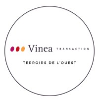 Vinea Transaction logo - Similar company to Vinea Transaction