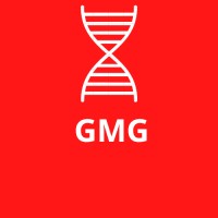GMG Canarias logo - Similar company to Blc Moving Technology Sl