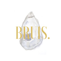 BRUIS. logo - Similar company to De Keyser Hotel