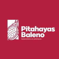Pitahayas Baleno logo - Similar company to Leomartex