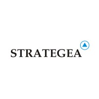 Strategea logo - Similar company to Finmoves